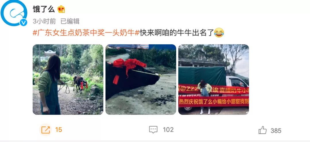 饿了么为14万账单女生送奶牛:晒奶茶账单意外中奖背后的营销逻辑 饿了么为14万账单女生送奶牛:晒奶茶账单意外中奖背后的营销逻辑
