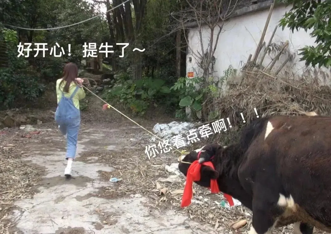 饿了么为14万账单女生送奶牛:晒奶茶账单意外中奖背后的营销逻辑 饿了么为14万账单女生送奶牛:晒奶茶账单意外中奖背后的营销逻辑
