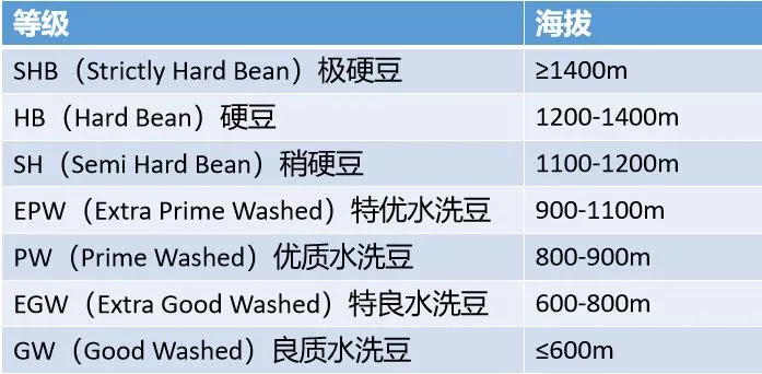 解读咖啡生豆分级体系：肯尼亚AA、埃塞G1与蓝山一号的等级密码