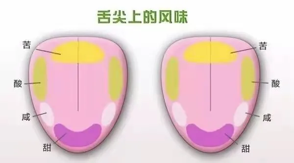 手冲咖啡饮用温度全解析：何时品尝风味最佳及冲泡温度建议