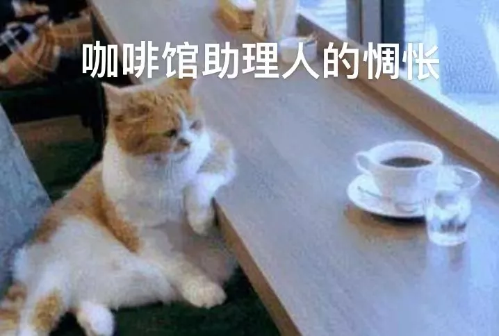 私人咖啡馆咖啡师岗位真实处境:薪资水平与招聘困境全解析 私人咖啡馆咖啡师岗位真实处境:薪资水平与招聘困境全解析