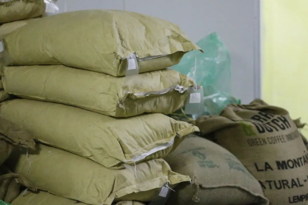 咖啡里混有蟑螂?食品法规允许的昆虫含量究竟怎么回事 咖啡里混有蟑螂?食品法规允许的昆虫含量究竟怎么回事