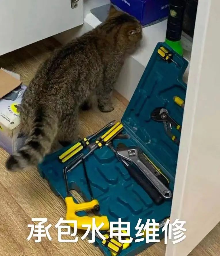 咖啡师薪资为何普遍偏低？深入探究小咖啡馆从业者的真实生存状况