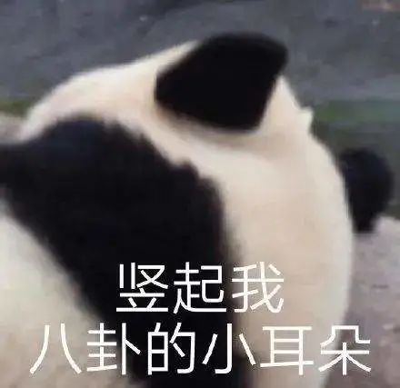 咖啡店靠什么留住回头客?五位常客分享真实体验与消费期待 咖啡店靠什么留住回头客?五位常客分享真实体验与消费期待