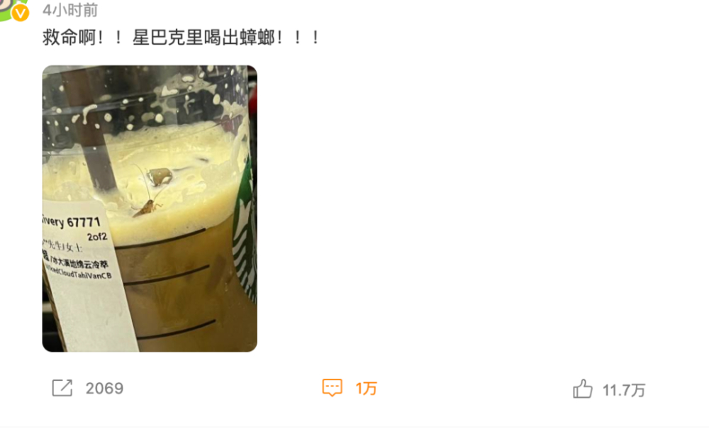 星巴克饮品惊现活蟑螂?官方调查结果与事件全程回顾 星巴克饮品惊现活蟑螂?官方调查结果与事件全程回顾