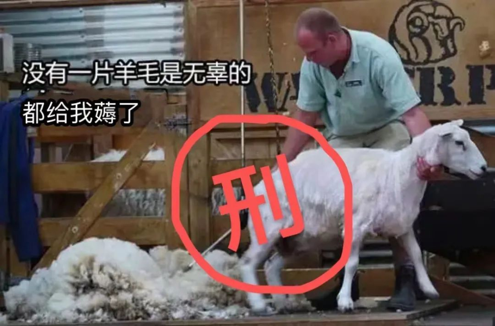 瑞幸低价订单风波法律解读:系统漏洞下的消费红线与平台责任 瑞幸低价订单风波法律解读:系统漏洞下的消费红线与平台责任