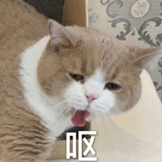 当香菜与香葱闯入咖啡杯:饮品创新为何频频挑战味蕾边界 当香菜与香葱闯入咖啡杯:饮品创新为何频频挑战味蕾边界