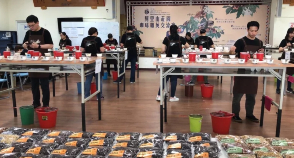 阿里山咖啡竞标创历史新高：日晒组特等奖52万新台币落槌，非瑰夏品种拍出顶级瑰夏价位