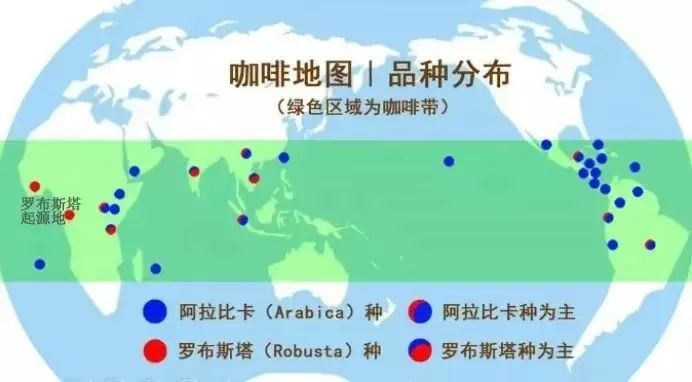阿拉比卡与罗布斯塔咖啡豆品种差异解析：100%阿拉比卡标签的含义与代表分支