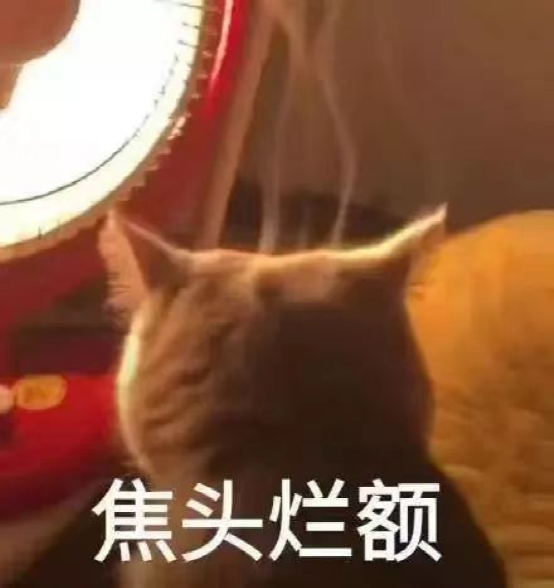 意式浓缩变身固体咖啡棒：Bear Pond Espresso可食用咖啡EXPERIENCE全解析
