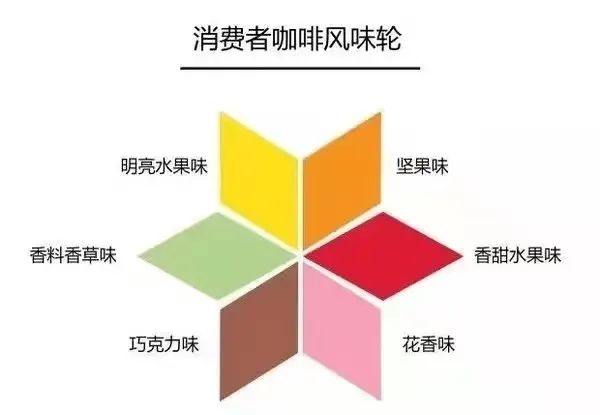 零基础入门单品咖啡品鉴:手冲风味描述的学习路径与感官训练方法 零基础入门单品咖啡品鉴:手冲风味描述的学习路径与感官训练方法
