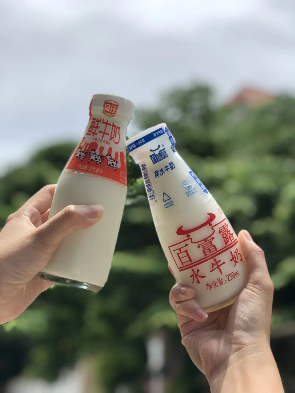 做咖啡该选哪种奶?玻璃瓶鲜奶与水牛奶的口感实测对比 做咖啡该选哪种奶?玻璃瓶鲜奶与水牛奶的口感实测对比