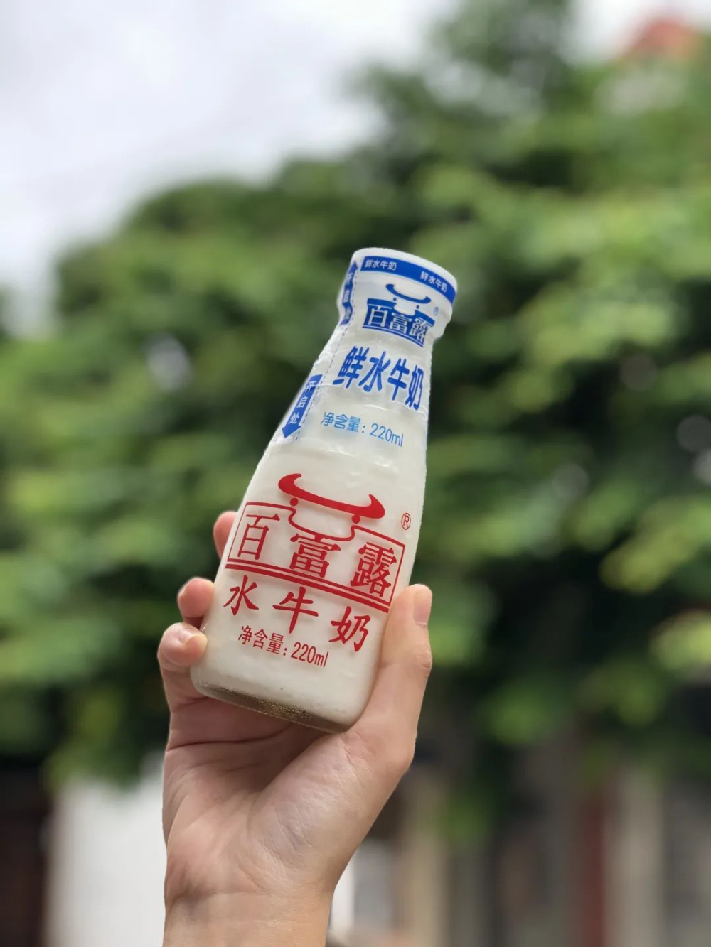 做咖啡该选哪种奶?玻璃瓶鲜奶与水牛奶的口感实测对比 做咖啡该选哪种奶?玻璃瓶鲜奶与水牛奶的口感实测对比