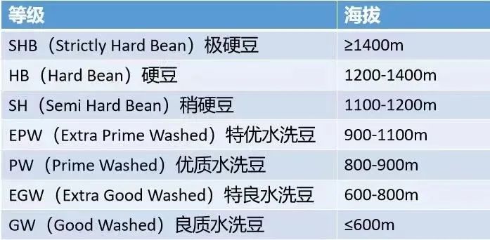全球咖啡生豆分级体系解析:埃塞俄比亚与肯尼亚的评定标准对比 全球咖啡生豆分级体系解析:埃塞俄比亚与肯尼亚的评定标准对比