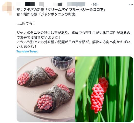 日本星巴克新品外形引热议,网友直呼像福寿螺卵与王虫 日本星巴克新品外形引热议,网友直呼像福寿螺卵与王虫