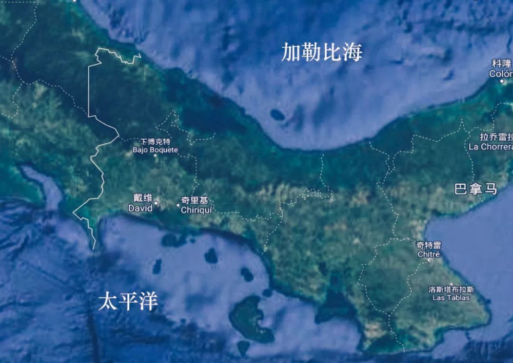 巴拿马瑰夏咖啡豆品种溯源:波奎特名庄风味特征与手冲参数全解析 巴拿马瑰夏咖啡豆品种溯源:波奎特名庄风味特征与手冲参数全解析