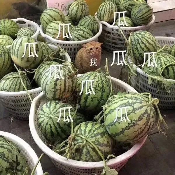 精品咖啡的标准究竟是什么?从定义到价格,深烘焙与浅烘焙之争全解析 精品咖啡的标准究竟是什么?从定义到价格,深烘焙与浅烘焙之争全解析