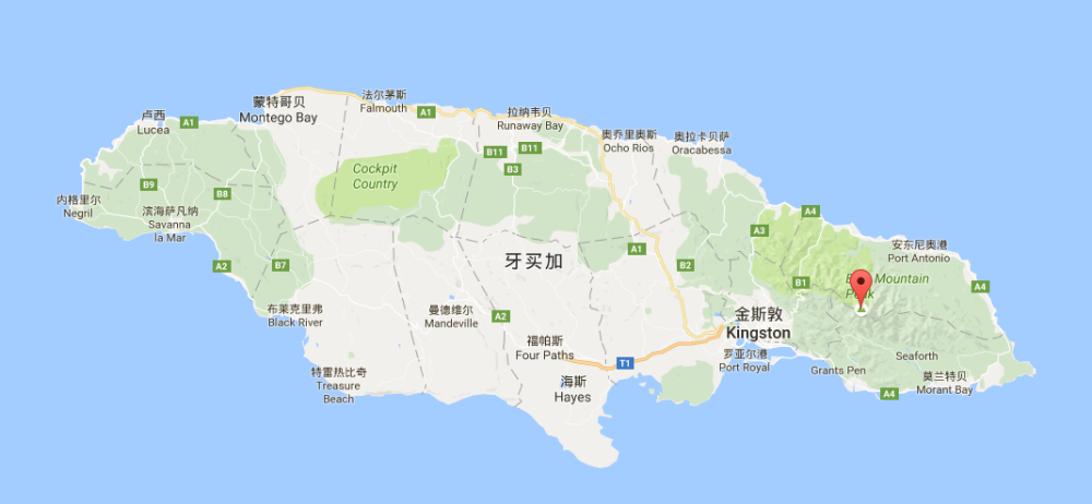 牙买加蓝山咖啡全面解析:从产区等级到意式手冲的实操冲煮指南 牙买加蓝山咖啡全面解析:从产区等级到意式手冲的实操冲煮指南