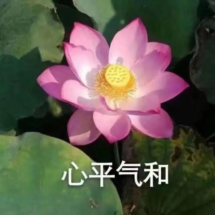 逃离996开咖啡馆就轻松了?年轻人入行前必须想清楚的经营真相 逃离996开咖啡馆就轻松了?年轻人入行前必须想清楚的经营真相