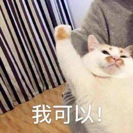 新手在家做咖啡：第一套手冲器具挑选指南与实用避坑建议