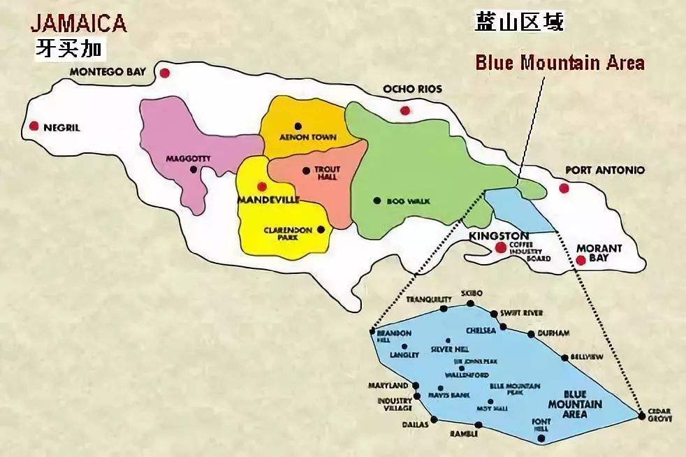 法压壶冲泡前街蓝山咖啡好不好喝？掌握这些要点与操作细节