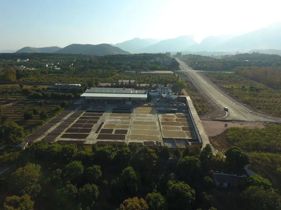 云南咖啡品牌盘点与三大产区品种特色全解析
