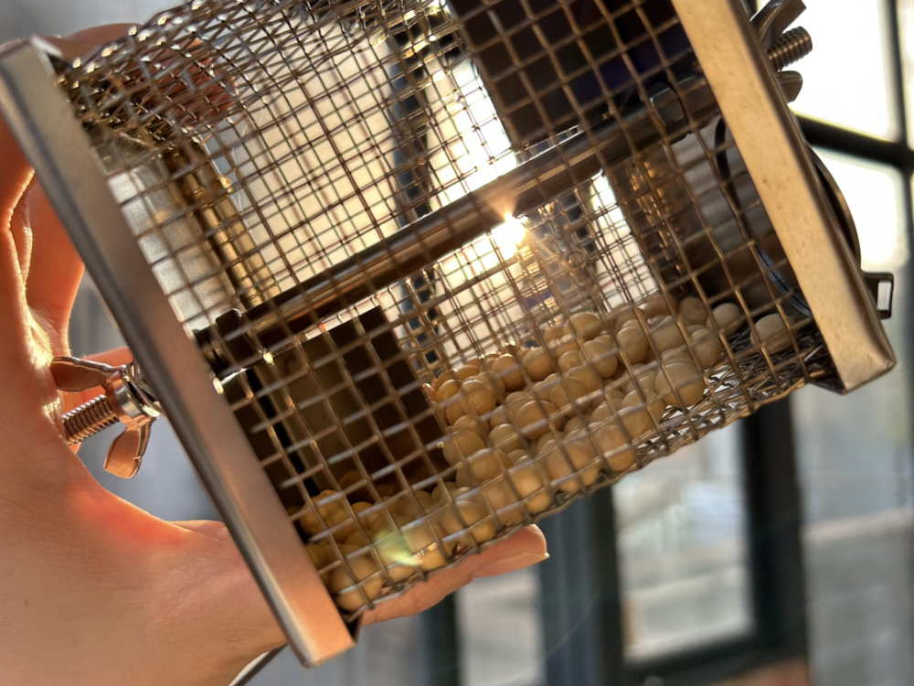 黄豆能当咖啡豆用吗？一次直火烘焙与冲煮实测，解析黄豆与咖啡豆的本质差异