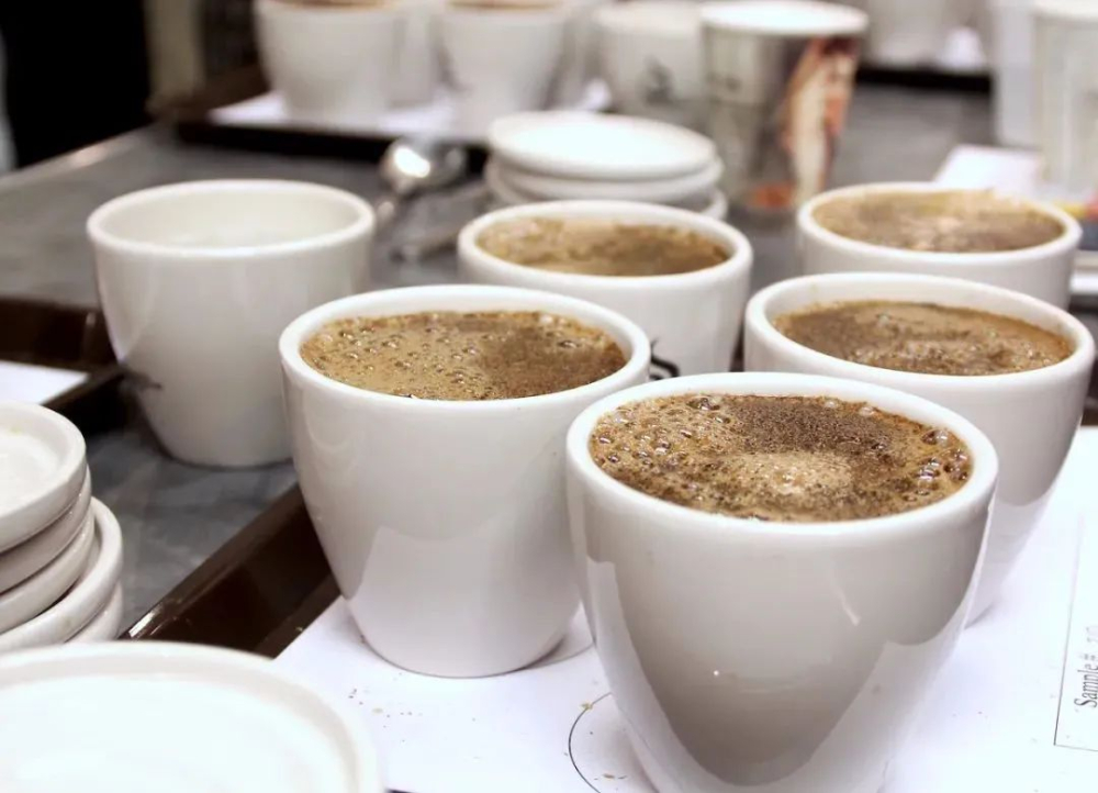 COE卓越杯与SOE单品浓缩的区别解析:从生豆赛事到意式萃取的咖啡知识 COE卓越杯与SOE单品浓缩的区别解析:从生豆赛事到意式萃取的咖啡知识