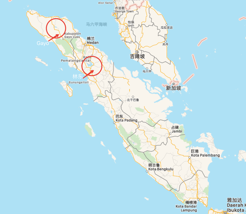 曼特宁草本风味为何减弱?手冲出现杂味的成因与解决思路 曼特宁草本风味为何减弱?手冲出现杂味的成因与解决思路