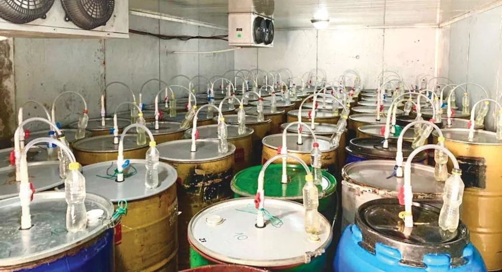 厌氧发酵处理法全解析:厌氧日晒、厌氧水洗与双重厌氧的工艺差异 厌氧发酵处理法全解析:厌氧日晒、厌氧水洗与双重厌氧的工艺差异