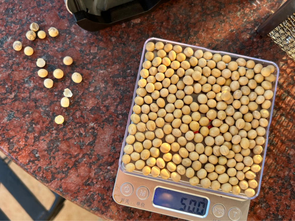 黄豆能当咖啡豆用吗？一次直火烘焙与冲煮实测，解析黄豆与咖啡豆的本质差异