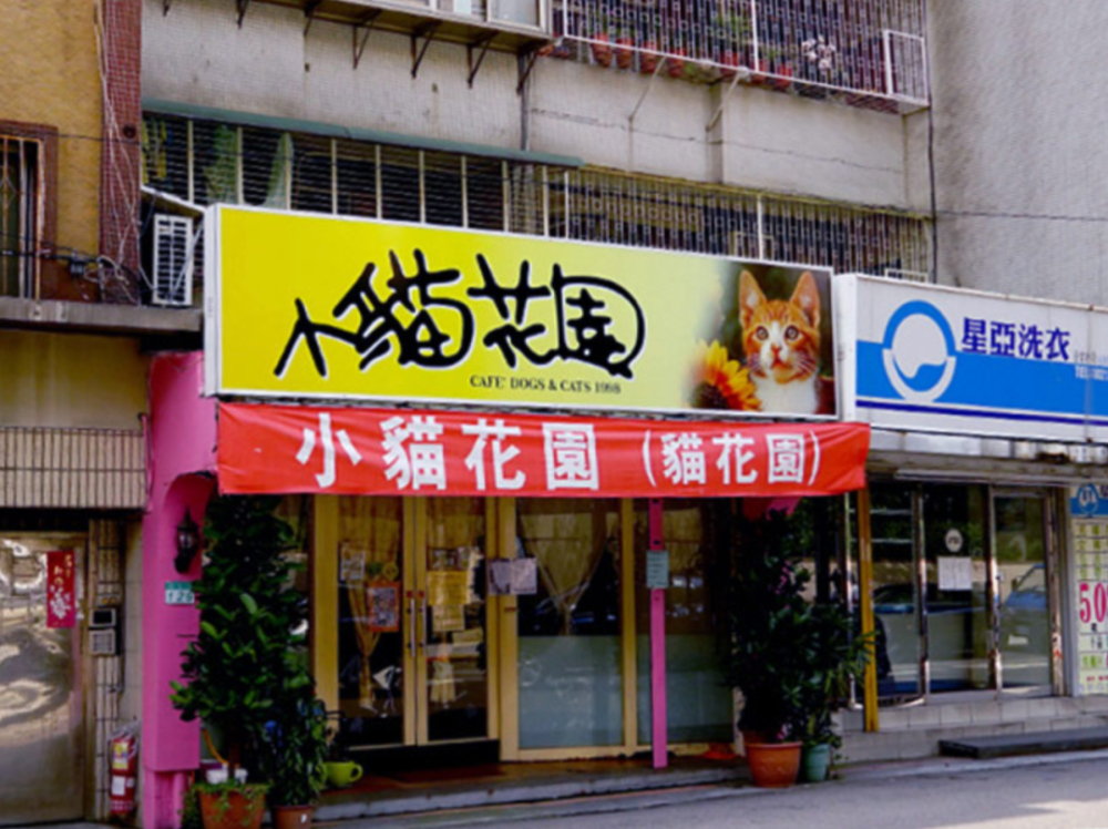 动物咖啡馆背后的残酷真相:从猫咪咖啡到野生动物走私,合法性争议与动物福利危机 动物咖啡馆背后的残酷真相:从猫咪咖啡到野生动物走私,合法性争议与动物福利危机