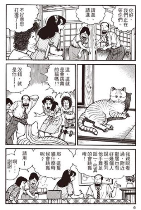 动物咖啡馆背后的残酷真相:从猫咪咖啡到野生动物走私,合法性争议与动物福利危机 动物咖啡馆背后的残酷真相:从猫咪咖啡到野生动物走私,合法性争议与动物福利危机
