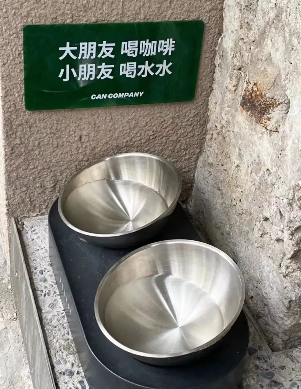 社区咖啡店经营指南:打造宠物友好型门店的加分技巧与注意事项 社区咖啡店经营指南:打造宠物友好型门店的加分技巧与注意事项