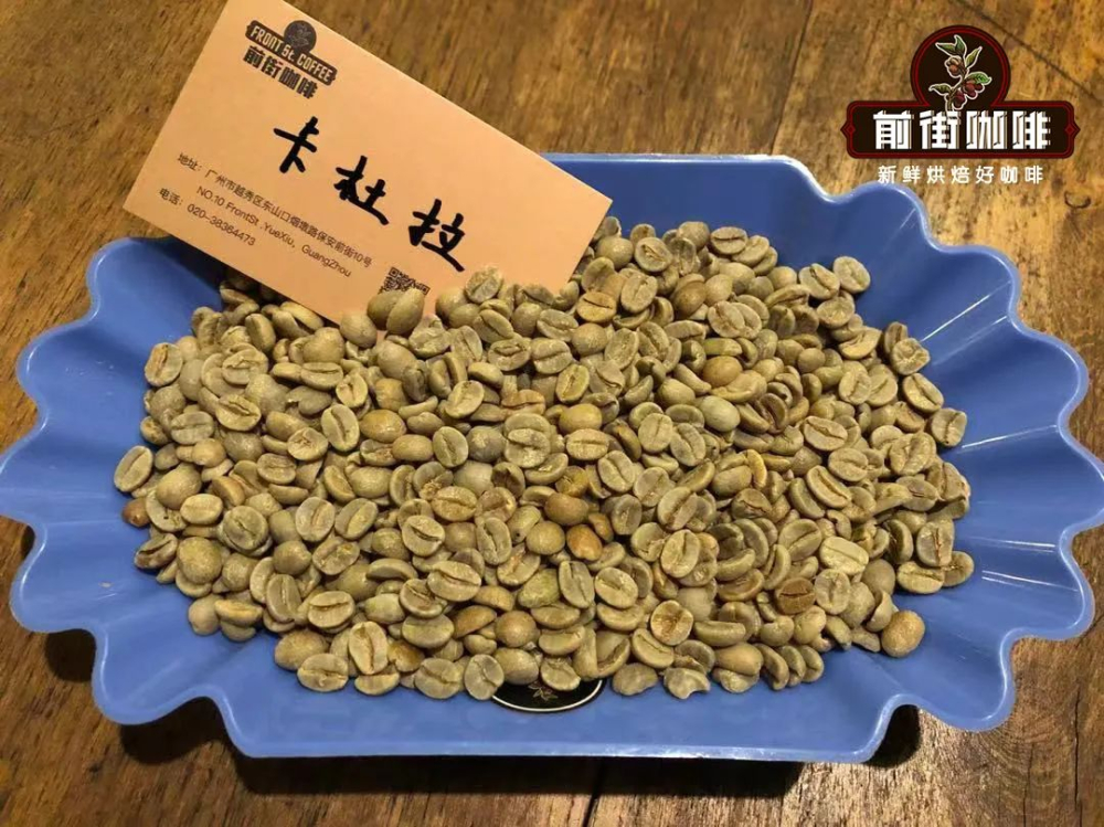 矮株高产的卡杜拉是什么豆种?Caturra传播史与手冲风味冲煮解析 矮株高产的卡杜拉是什么豆种?Caturra传播史与手冲风味冲煮解析