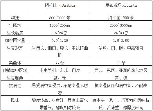 阿拉比卡与罗布斯塔全方位对比:风味差异、优缺点及意式拼配中的关键角色 阿拉比卡与罗布斯塔全方位对比:风味差异、优缺点及意式拼配中的关键角色