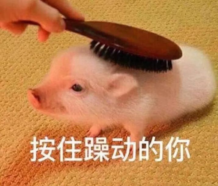 加盟咖啡店选什么品牌才可靠?前期投入究竟要花多少钱? 加盟咖啡店选什么品牌才可靠?前期投入究竟要花多少钱?