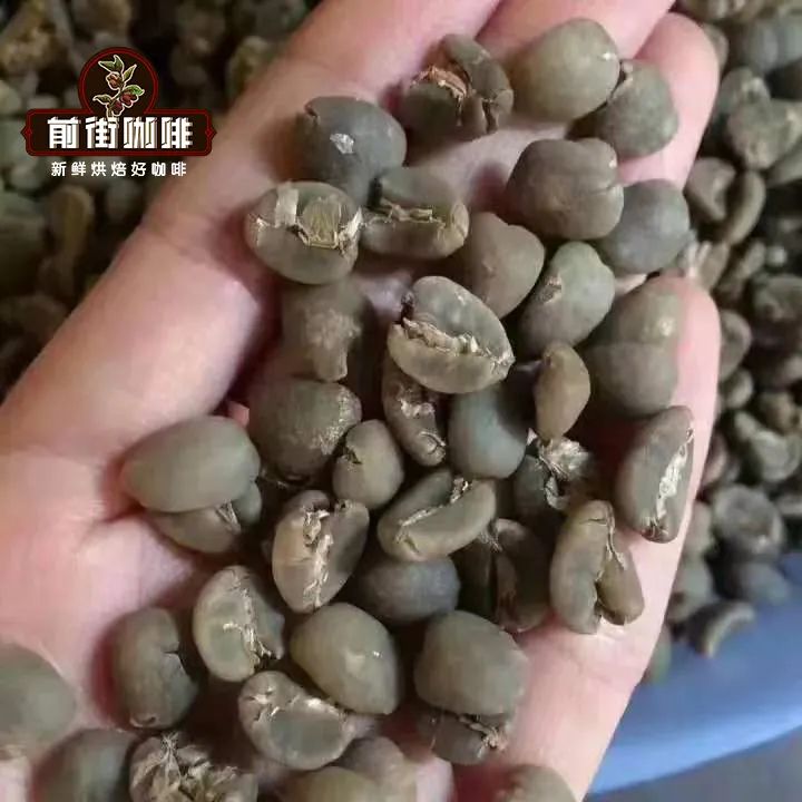 印尼咖啡品种全解析:铁皮卡、罗布斯塔、卡蒂姆等风味特点与产区分布 印尼咖啡品种全解析:铁皮卡、罗布斯塔、卡蒂姆等风味特点与产区分布