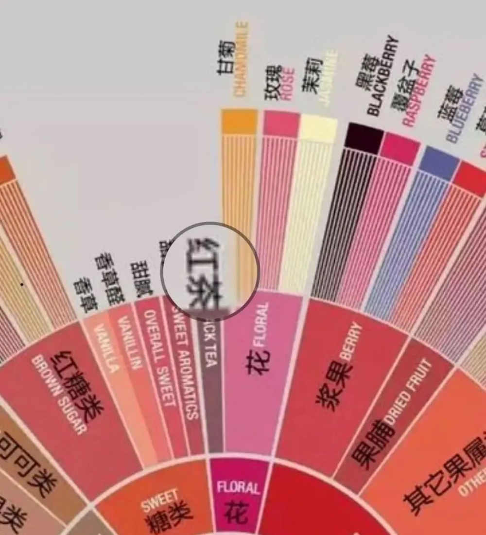咖啡风味中的茶感从何而来？解析涩感与生津回甘的判断逻辑