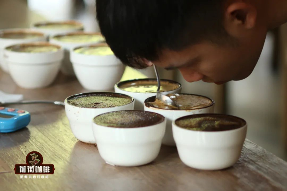SCA与SCAA咖啡杯测表新旧版本对照及标准评测操作流程详解 SCA与SCAA咖啡杯测表新旧版本对照及标准评测操作流程详解