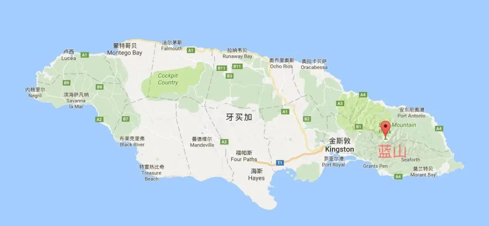 牙买加蓝山咖啡的产区特征与CIB管理局职能全解析 牙买加蓝山咖啡的产区特征与CIB管理局职能全解析