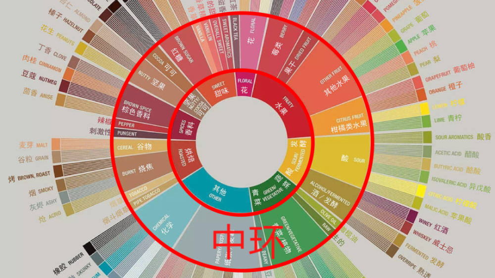 解读最新咖啡风味轮:从感官科学到杯测实操的品鉴指南 解读最新咖啡风味轮:从感官科学到杯测实操的品鉴指南