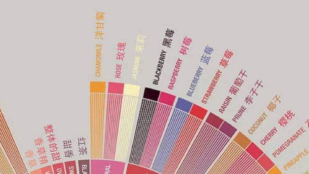 解读最新咖啡风味轮:从感官科学到杯测实操的品鉴指南 解读最新咖啡风味轮:从感官科学到杯测实操的品鉴指南