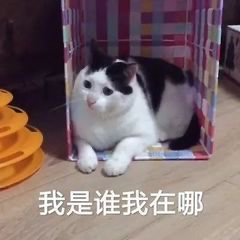 咖啡师为何要舍弃第一杯浓缩?浅析开机后首份萃取对风味的影响 咖啡师为何要舍弃第一杯浓缩?浅析开机后首份萃取对风味的影响