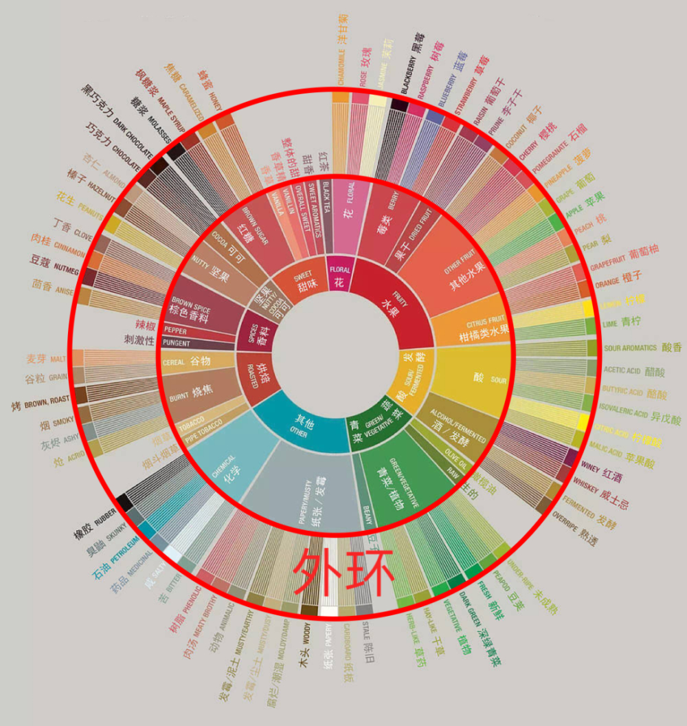 解读最新咖啡风味轮:从感官科学到杯测实操的品鉴指南 解读最新咖啡风味轮:从感官科学到杯测实操的品鉴指南