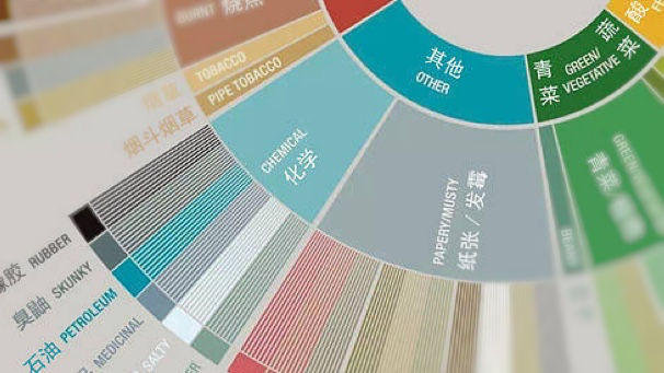解读最新咖啡风味轮:从感官科学到杯测实操的品鉴指南 解读最新咖啡风味轮:从感官科学到杯测实操的品鉴指南