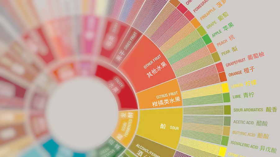 解读最新咖啡风味轮:从感官科学到杯测实操的品鉴指南 解读最新咖啡风味轮:从感官科学到杯测实操的品鉴指南