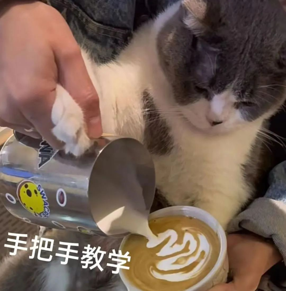 从盲碗到泡面杯：咖啡师拉花容器创意大盘点