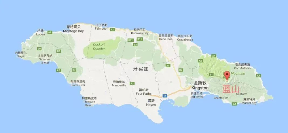 牙买加蓝山咖啡木桶标识全解读：从CIB认证到庄园印记