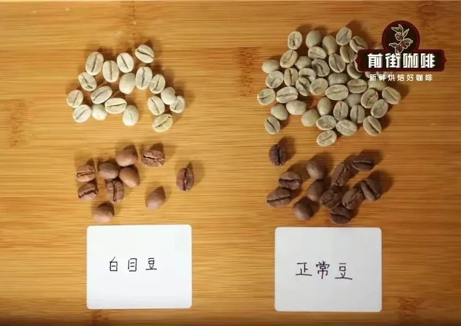 咖啡干净度受哪些因素左右?手冲咖啡中干净度的含义与判断方式解析 咖啡干净度受哪些因素左右?手冲咖啡中干净度的含义与判断方式解析